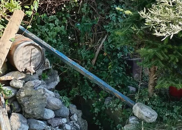 καρδιτσα μοναδικο οικογεκειακο